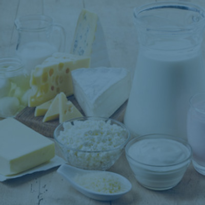 Käse- und Milchprodukte